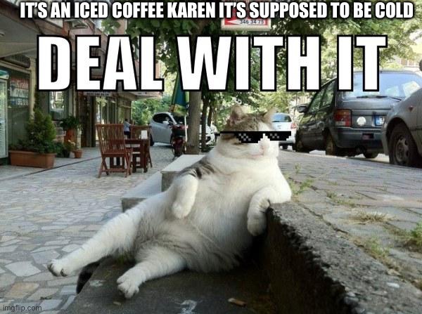 Deal with it cat | IT’S AN ICED COFFEE KAREN IT’S SUPPOSED TO BE COLD | image tagged in deal with it cat | made w/ Imgflip meme maker