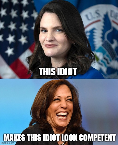 Couldn't happen to a dumber ideologue. |  THIS IDIOT; MAKES THIS IDIOT LOOK COMPETENT | image tagged in disinformation czar,biden administration,kamala harris,democrats,liberals,woke | made w/ Imgflip meme maker