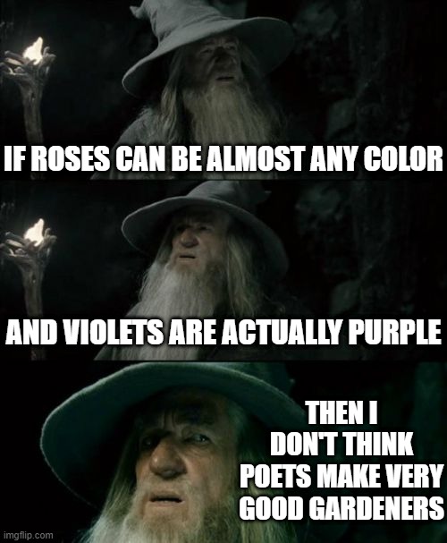 truth I think | IF ROSES CAN BE ALMOST ANY COLOR; AND VIOLETS ARE ACTUALLY PURPLE; THEN I DON'T THINK POETS MAKE VERY GOOD GARDENERS | image tagged in memes,confused gandalf,roses are red | made w/ Imgflip meme maker