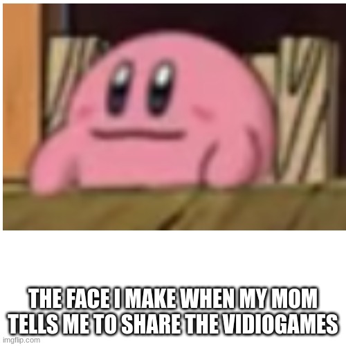 panfr | THE FACE I MAKE WHEN MY MOM TELLS ME TO SHARE THE VIDIOGAMES | image tagged in fun | made w/ Imgflip meme maker