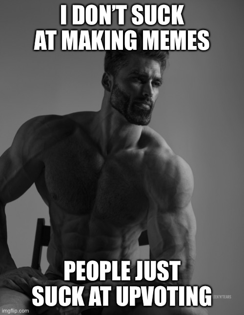 Giga Chad | I DON’T SUCK AT MAKING MEMES PEOPLE JUST SUCK AT UPVOTING | image tagged in giga chad | made w/ Imgflip meme maker