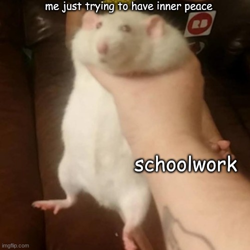 Grabbing a fat rat | me just trying to have inner peace; schoolwork | image tagged in grabbing a fat rat | made w/ Imgflip meme maker