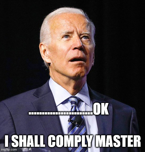 ILLUSIONARY VOTE |  ........................OK; I SHALL COMPLY MASTER | image tagged in joe biden | made w/ Imgflip meme maker