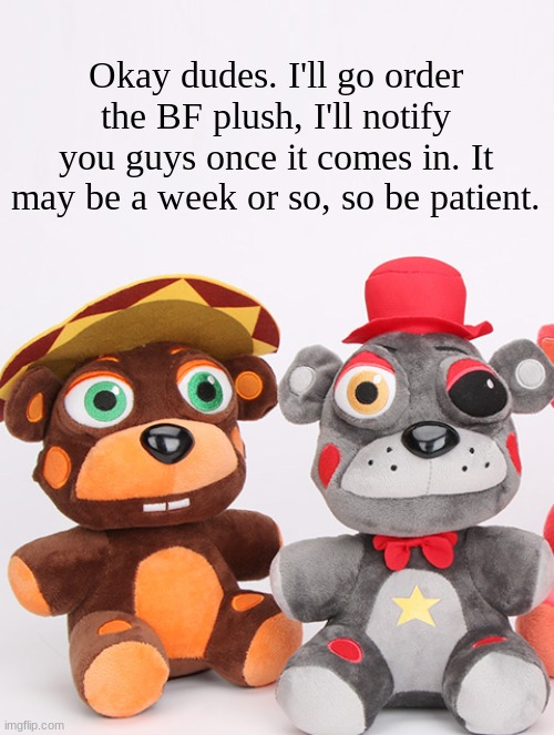 ok | Okay dudes. I'll go order the BF plush, I'll notify you guys once it comes in. It may be a week or so, so be patient. | image tagged in el chip and lefty have seen things | made w/ Imgflip meme maker