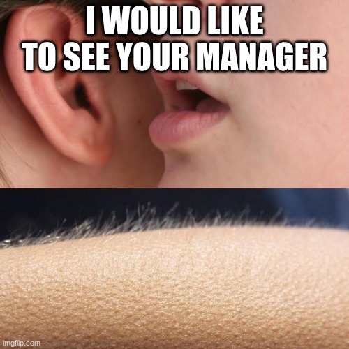 Whisper and Goosebumps |  I WOULD LIKE TO SEE YOUR MANAGER | image tagged in whisper and goosebumps | made w/ Imgflip meme maker