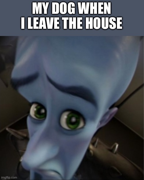 I mean fr | MY DOG WHEN I LEAVE THE HOUSE | image tagged in megamind peeking | made w/ Imgflip meme maker