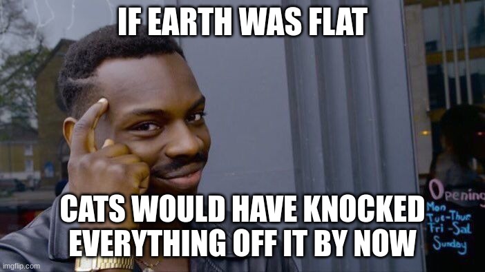 Flat Earth |  IF EARTH WAS FLAT; CATS WOULD HAVE KNOCKED EVERYTHING OFF IT BY NOW | image tagged in memes,roll safe think about it | made w/ Imgflip meme maker