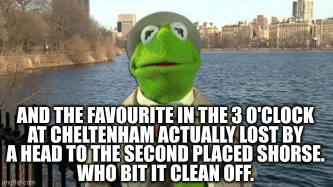 Kermit News Report | AND THE FAVOURITE IN THE 3 O'CLOCK
AT CHELTENHAM ACTUALLY LOST BY
A HEAD TO THE SECOND PLACED SHORSE.
WHO BIT IT CLEAN OFF. | image tagged in kermit news report | made w/ Imgflip meme maker