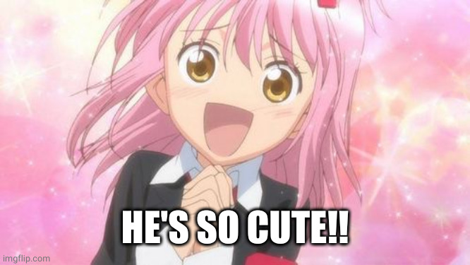 aww anime girl | HE'S SO CUTE!! | image tagged in aww anime girl | made w/ Imgflip meme maker