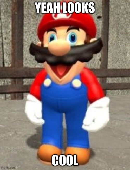 Dumb Mario | YEAH LOOKS COOL | image tagged in dumb mario | made w/ Imgflip meme maker