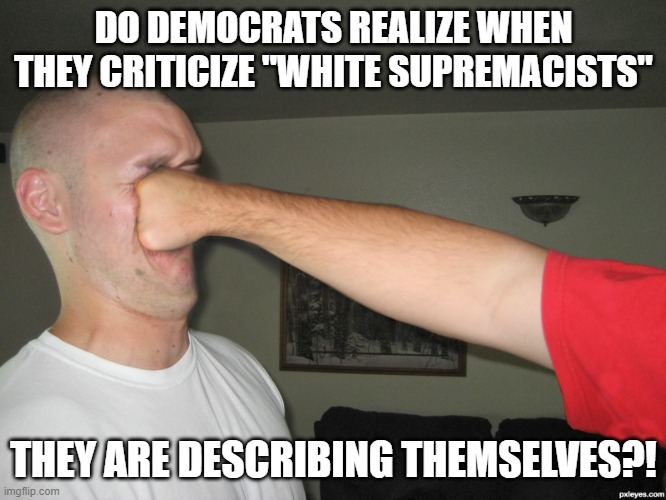 Face punch | DO DEMOCRATS REALIZE WHEN THEY CRITICIZE "WHITE SUPREMACISTS"; THEY ARE DESCRIBING THEMSELVES?! | image tagged in face punch | made w/ Imgflip meme maker