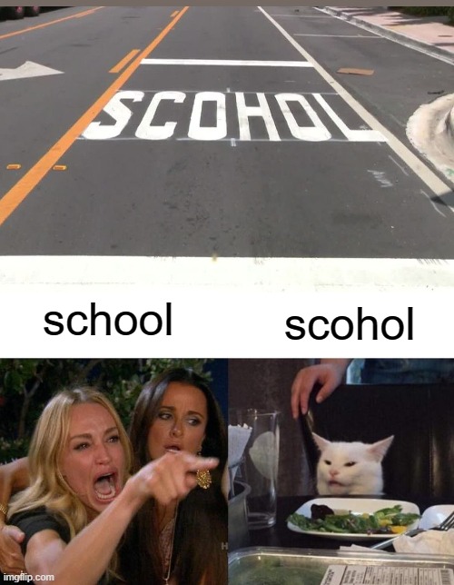 Woman Yelling At Cat | school; scohol | image tagged in memes,woman yelling at cat | made w/ Imgflip meme maker
