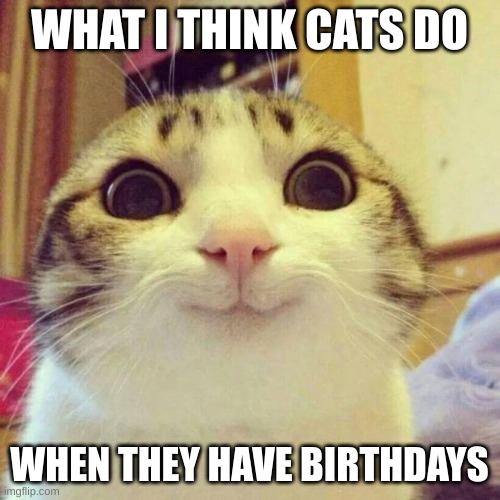 Smiling Cat Meme | WHAT I THINK CATS DO WHEN THEY HAVE BIRTHDAYS | image tagged in memes,smiling cat | made w/ Imgflip meme maker
