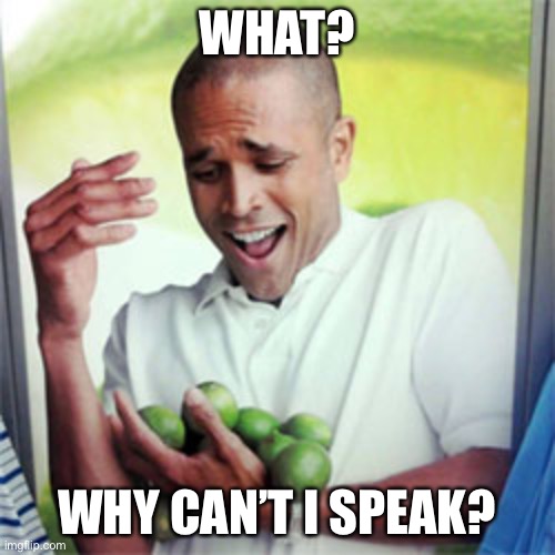 Bruh |  WHAT? WHY CAN’T I SPEAK? | image tagged in why cant i | made w/ Imgflip meme maker