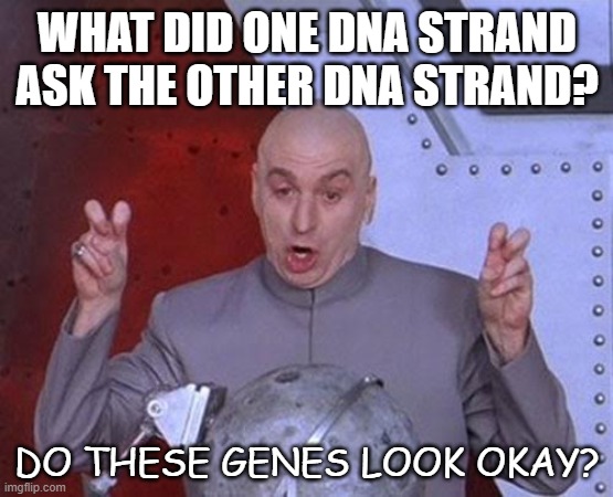 Daily Bad Dad Joke 05/18/2022 | WHAT DID ONE DNA STRAND ASK THE OTHER DNA STRAND? DO THESE GENES LOOK OKAY? | image tagged in memes,dr evil laser | made w/ Imgflip meme maker