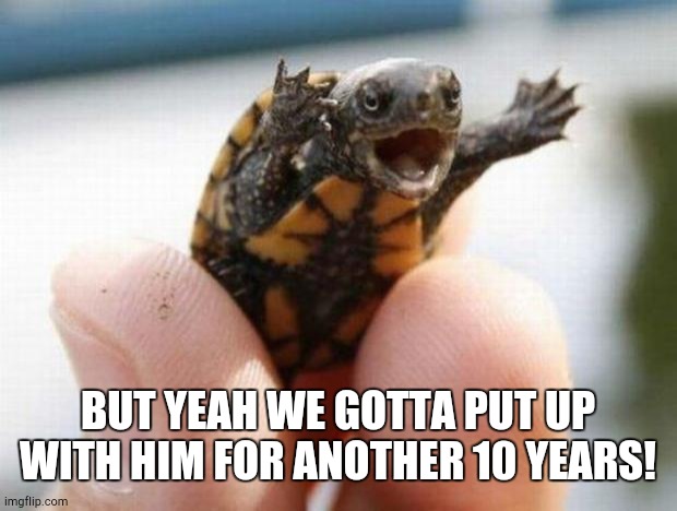 happy baby turtle | BUT YEAH WE GOTTA PUT UP WITH HIM FOR ANOTHER 10 YEARS! | image tagged in happy baby turtle | made w/ Imgflip meme maker