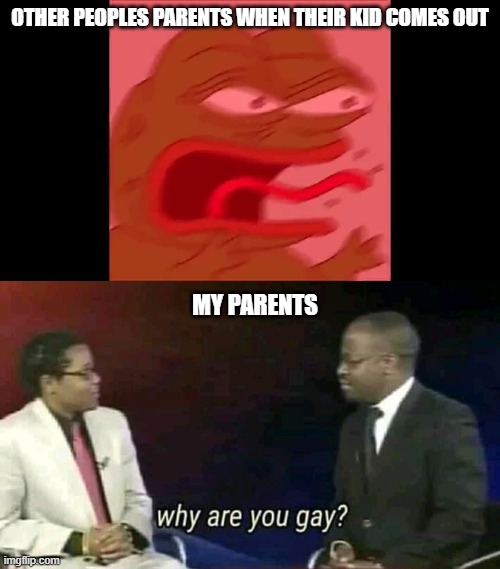 Image Title | OTHER PEOPLES PARENTS WHEN THEIR KID COMES OUT; MY PARENTS | image tagged in screaming pepe,why are you gay | made w/ Imgflip meme maker