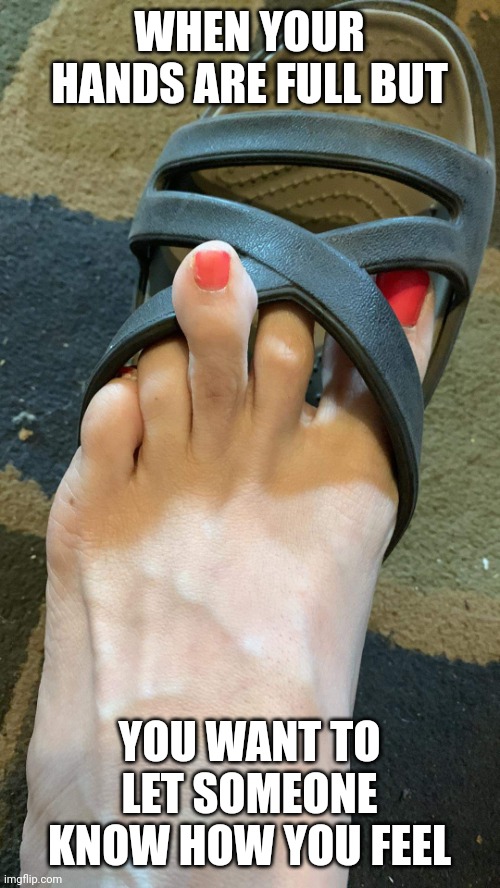 Middle toe | WHEN YOUR HANDS ARE FULL BUT; YOU WANT TO LET SOMEONE KNOW HOW YOU FEEL | image tagged in middle finger,bird,foot | made w/ Imgflip meme maker