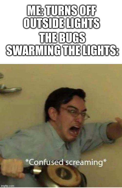 confused screaming | ME: TURNS OFF OUTSIDE LIGHTS; THE BUGS SWARMING THE LIGHTS: | image tagged in confused screaming | made w/ Imgflip meme maker