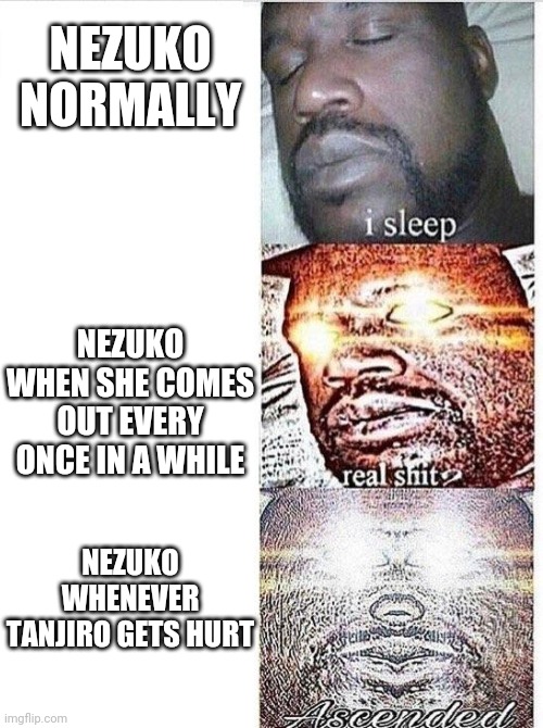 I sleep meme with ascended template | NEZUKO NORMALLY; NEZUKO WHEN SHE COMES OUT EVERY ONCE IN A WHILE; NEZUKO WHENEVER TANJIRO GETS HURT | image tagged in i sleep meme with ascended template | made w/ Imgflip meme maker