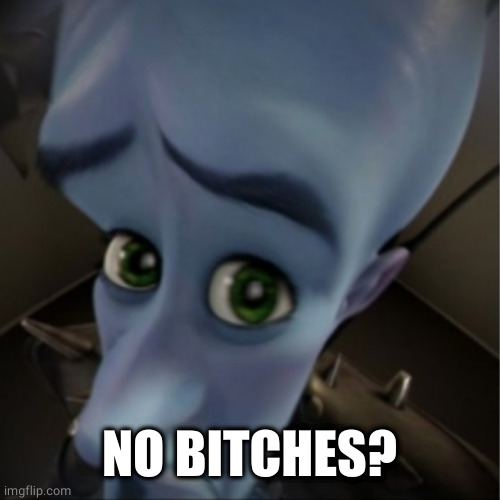 Megamind peeking | NO BITCHES? | image tagged in megamind peeking | made w/ Imgflip meme maker