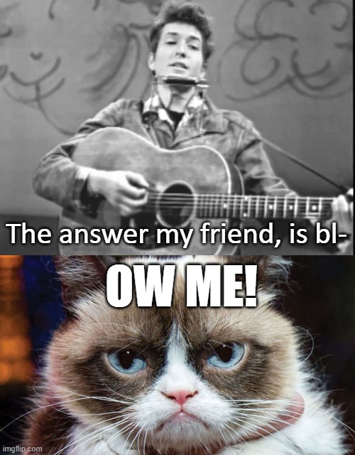 That Mood Reac. | The answer my friend, is bl-; OW ME! | image tagged in grumpy cat,bob dylan,angry,funny,reaction | made w/ Imgflip meme maker
