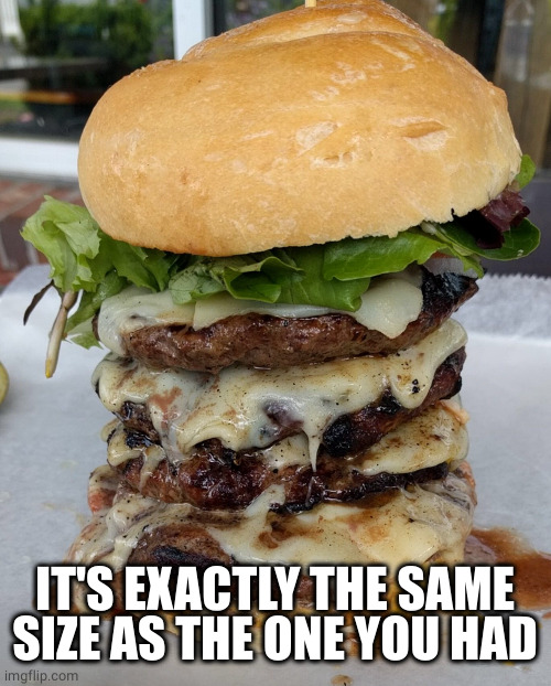 Huge Burger | IT'S EXACTLY THE SAME SIZE AS THE ONE YOU HAD | image tagged in huge burger | made w/ Imgflip meme maker