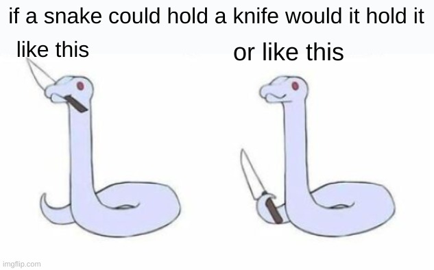 i'm thinking it would be with its tail | if a snake could hold a knife would it hold it; like this; or like this | image tagged in funny,memes,funny memes,blank starter pack,barney will eat all of your delectable biscuits,snake | made w/ Imgflip meme maker