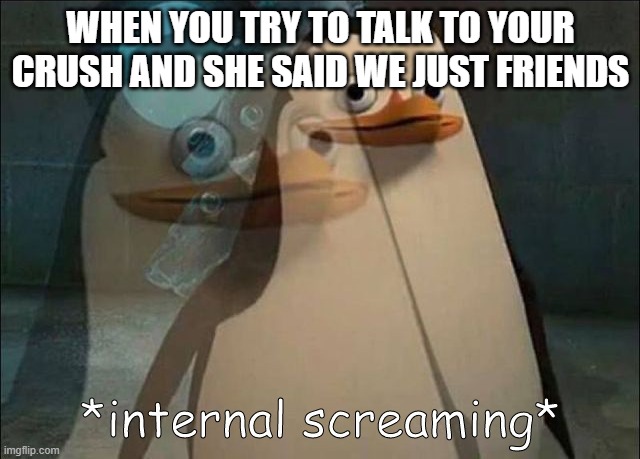 true | WHEN YOU TRY TO TALK TO YOUR CRUSH AND SHE SAID WE JUST FRIENDS | image tagged in private internal screaming | made w/ Imgflip meme maker