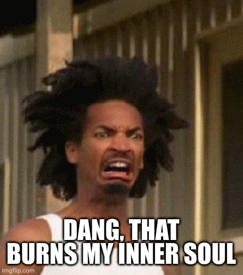 Disgusted Face | DANG, THAT BURNS MY INNER SOUL | image tagged in disgusted face | made w/ Imgflip meme maker