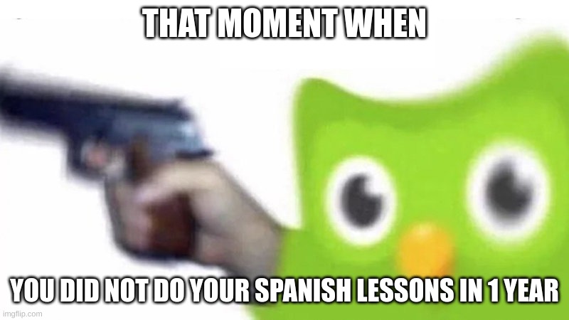 duolingo gun |  THAT MOMENT WHEN; YOU DID NOT DO YOUR SPANISH LESSONS IN 1 YEAR | image tagged in duolingo gun | made w/ Imgflip meme maker