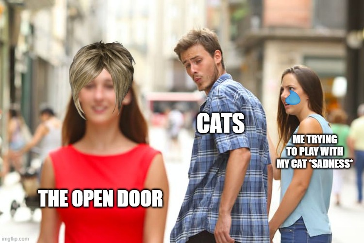 Distracted Boyfriend Meme | CATS; ME TRYING TO PLAY WITH MY CAT *SADNESS*; THE OPEN DOOR | image tagged in memes,distracted boyfriend | made w/ Imgflip meme maker