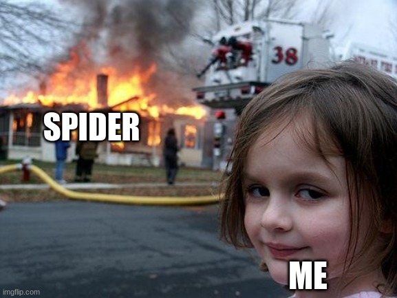 no spider around here | SPIDER; ME | image tagged in memes,disaster girl | made w/ Imgflip meme maker