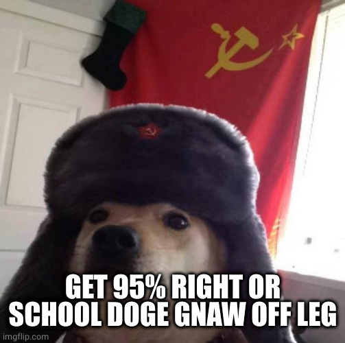 Russian Doge | GET 95% RIGHT OR SCHOOL DOGE GNAW OFF LEG | image tagged in russian doge | made w/ Imgflip meme maker