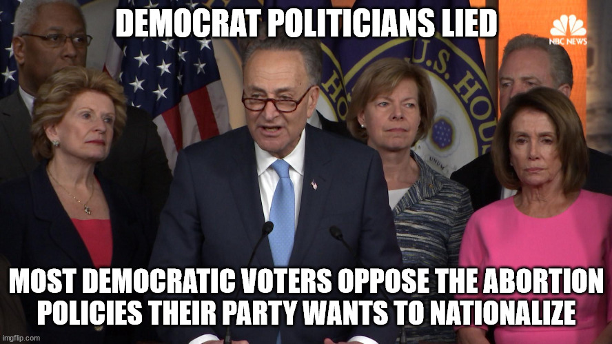 Less than 20% of Democratic voters support legal abortion up to birth | DEMOCRAT POLITICIANS LIED; MOST DEMOCRATIC VOTERS OPPOSE THE ABORTION POLICIES THEIR PARTY WANTS TO NATIONALIZE | image tagged in lying,democrats | made w/ Imgflip meme maker