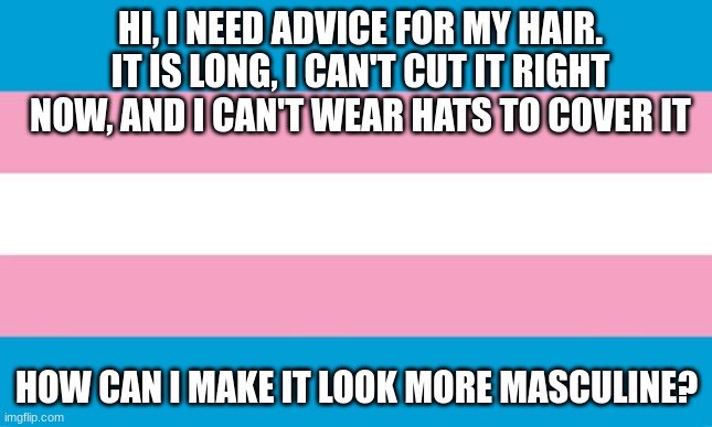 hair | HI, I NEED ADVICE FOR MY HAIR. IT IS LONG, I CAN'T CUT IT RIGHT NOW, AND I CAN'T WEAR HATS TO COVER IT; HOW CAN I MAKE IT LOOK MORE MASCULINE? | image tagged in transgender flag | made w/ Imgflip meme maker