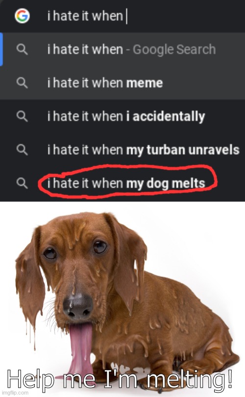 Nooooo the doggo! | Help me I'm melting! | image tagged in doggo,melting,i hate it when,doge,oh wow are you actually reading these tags,stop reading the tags | made w/ Imgflip meme maker