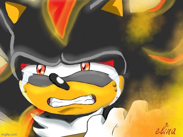 Shadow the Hedgehog Crying | image tagged in shadow the hedgehog crying | made w/ Imgflip meme maker