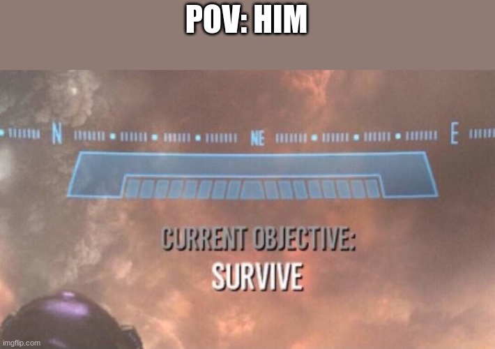 Current Objective: Survive | POV: HIM | image tagged in current objective survive | made w/ Imgflip meme maker