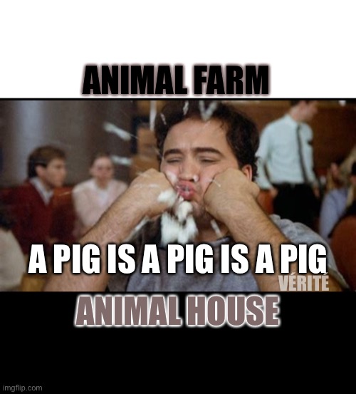 Animal Farm or Animal House | ANIMAL FARM; ANIMAL HOUSE; A PIG IS A PIG IS A PIG; VÉRITÉ | image tagged in pig,satire,gross,pimple | made w/ Imgflip meme maker