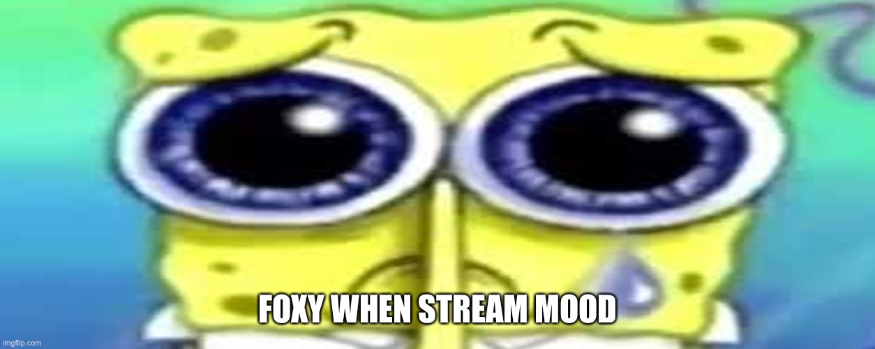Sad Spong | FOXY WHEN STREAM MOOD | image tagged in sad spong | made w/ Imgflip meme maker