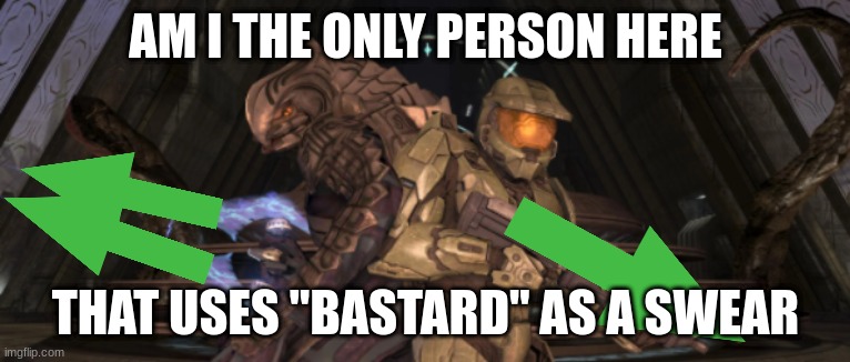 you ugly bastard | AM I THE ONLY PERSON HERE; THAT USES "BASTARD" AS A SWEAR | image tagged in master chief arbiter upvote | made w/ Imgflip meme maker