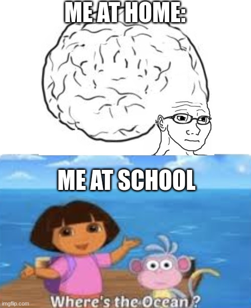 Dora |  ME AT HOME:; ME AT SCHOOL | image tagged in dora,big brain,i'm the dumbest man alive | made w/ Imgflip meme maker