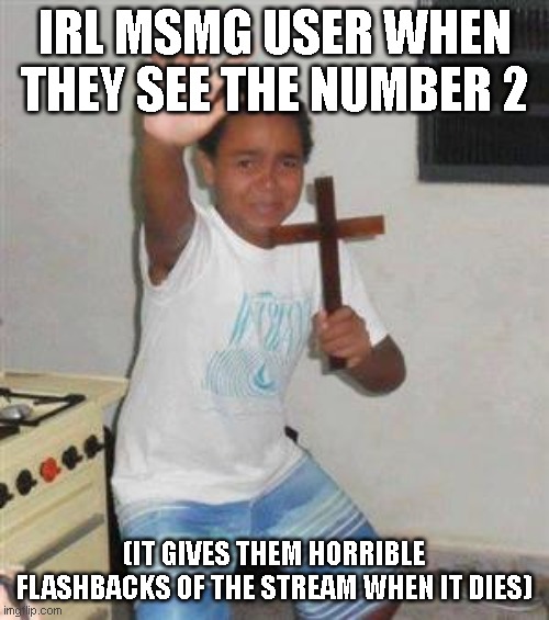 Scared Kid | IRL MSMG USER WHEN THEY SEE THE NUMBER 2; (IT GIVES THEM HORRIBLE FLASHBACKS OF THE STREAM WHEN IT DIES) | image tagged in scared kid | made w/ Imgflip meme maker