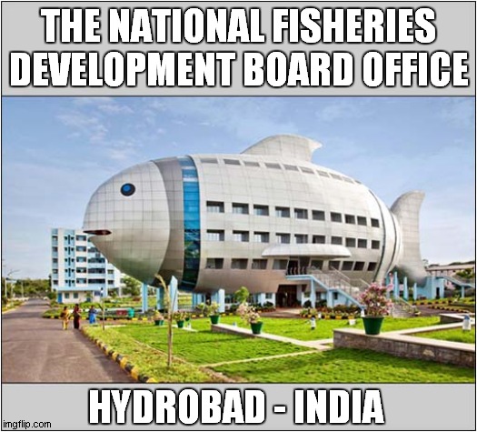 All Buildings Should Be Themed Like This ! |  THE NATIONAL FISHERIES DEVELOPMENT BOARD OFFICE; HYDROBAD - INDIA | image tagged in building,themed,fish,front page | made w/ Imgflip meme maker