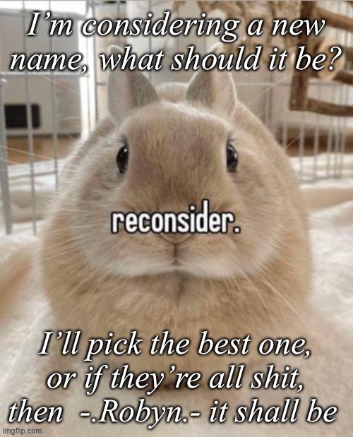 reconsider | I’m considering a new name, what should it be? I’ll pick the best one, or if they’re all shit, then  -.Robyn.- it shall be | image tagged in reconsider | made w/ Imgflip meme maker