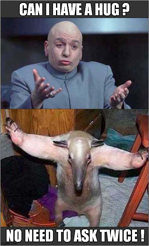 Dr Evil Loves That Anteater ! | CAN I HAVE A HUG ? NO NEED TO ASK TWICE ! | image tagged in dr evil,anteater,love,hugs | made w/ Imgflip meme maker