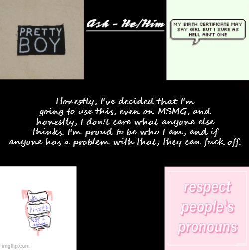 Honestly, I've decided that I'm going to use this, even on MSMG, and honestly, I don't care what anyone else thinks. I'm proud to be who I am, and if anyone has a problem with that, they can fuck off. | image tagged in ash | made w/ Imgflip meme maker