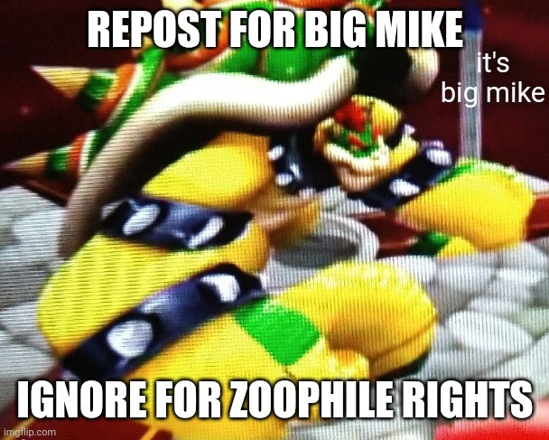 REPOST FOR BIG MIKE; IGNORE FOR ZOOPHILE RIGHTS | image tagged in big mike | made w/ Imgflip meme maker