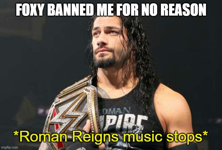 Roman Reigns Music Stops | FOXY BANNED ME FOR NO REASON | image tagged in roman reigns music stops | made w/ Imgflip meme maker